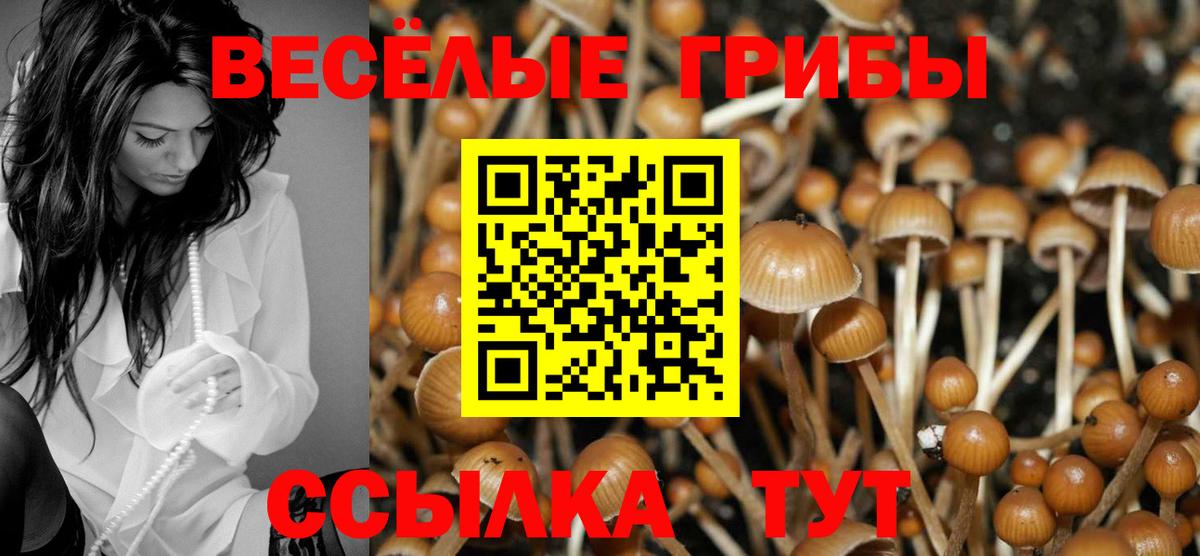 Псилоцибиновые грибы Cubensis  Галлюциногенные грибы Psilocybine cubensis  Вход с VPN  Нефтекумск 